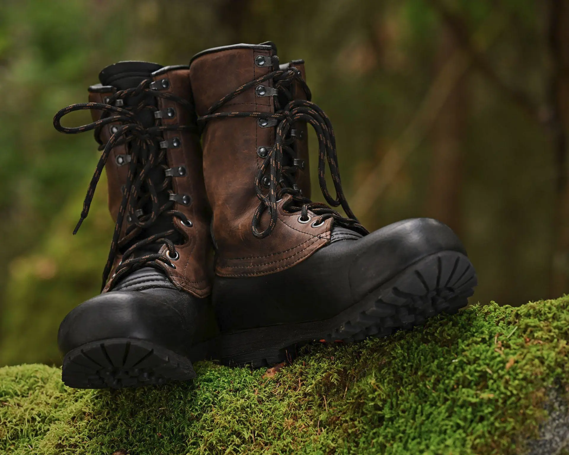 Sommarkängan placerad i en skogsmiljö.